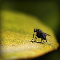 /album/bxo/photolia-a07-jpg/